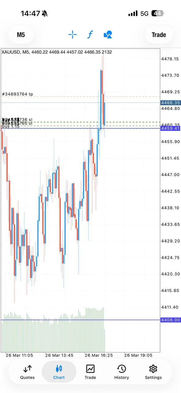 Momentum screenshot captured during the strongest part of the rally
