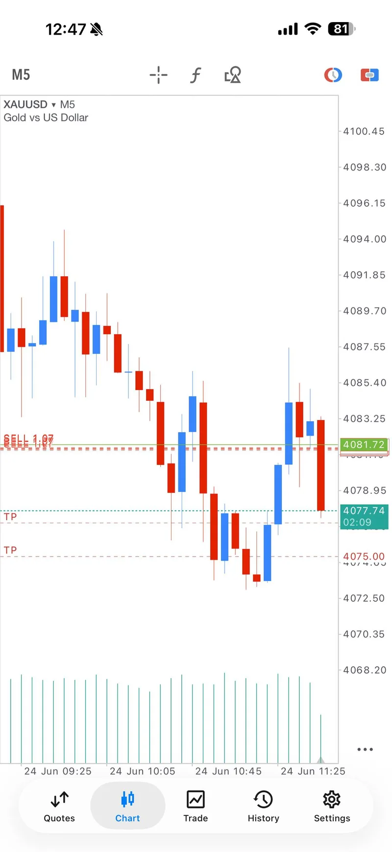 Selected proof screenshot from the VIP sell continuation.